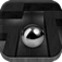 Reveal the Maze